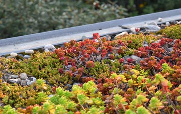 the cost of Park green roof installation