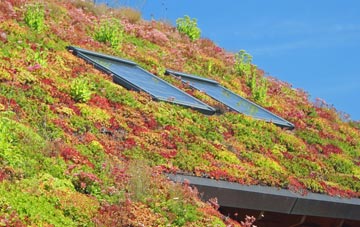Park living roof systems