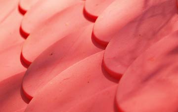 Park plastic roof costs