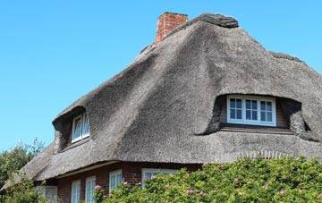 thatch roofing Park